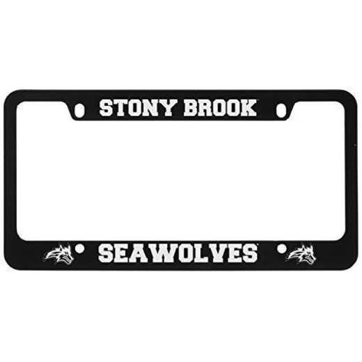 SM-31-BLK-STNYBRK-1-LRG: LXG SM/31 CAR FRAME BLACK, Stony Brook